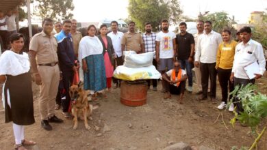 Photo of वरुड येथील छाप्यात दोन लाखाचा गांजा जप्त