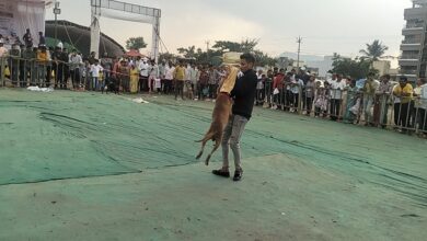 Photo of यशवंतराव चव्हाण कृषि प्रदर्शन बुधवारपर्यत खुले राहणार