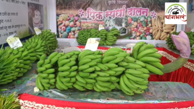 Photo of कराडला यशवंतराव चव्हाण कृषी प्रदर्शनाचे उद्घाटन