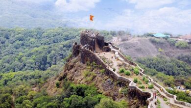 Photo of युनेस्कोकडून नामांकनासाठी निवड झालेल्या प्रतापगडावर सह्याद्री प्रतिष्ठान रविवारी राबविणार स्वच्छता मोहिम ; जनजागृतीसाठी संपूर्ण जिल्ह्यात स्वाक्षरी मोहिम