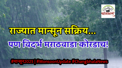 Photo of राज्यात मान्सूनचा (Monsoon) पुन्हा प्रवास सुरु; मराठवाडा-विदर्भात अजूनही ‘ओलाव्याची’ (Soil Moisture) प्रतीक्षा