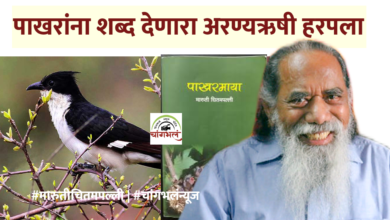 Photo of निसर्गाचा संन्यासी हरपला : पद्मश्री मारुती चितमपल्ली यांचे निधन #MarutiChitampalli #AranyaRushi #NisargVaidya #Padmashri #BirdmanOfMaharashtra